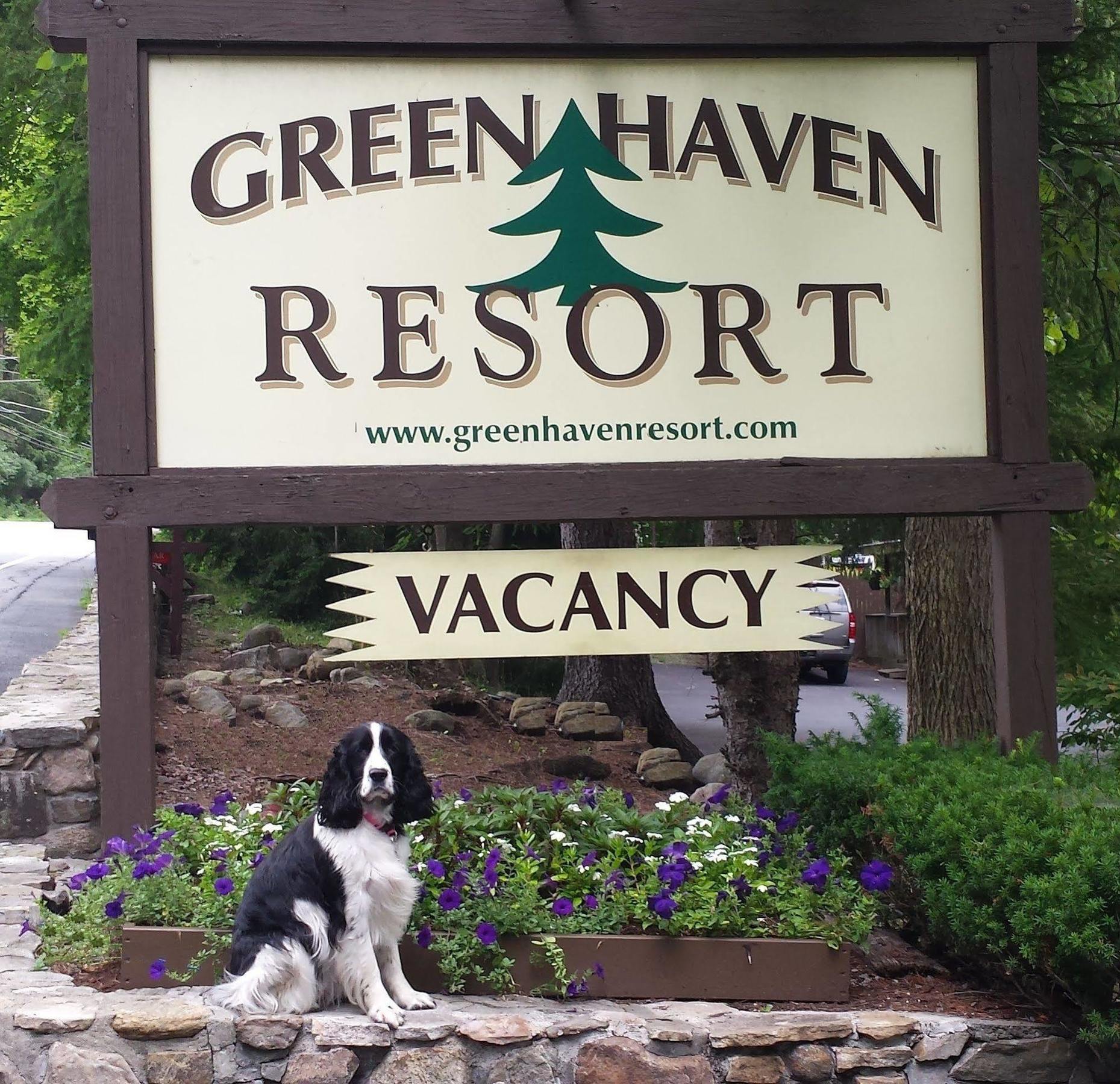 Green Haven Resort Lac George Extérieur photo